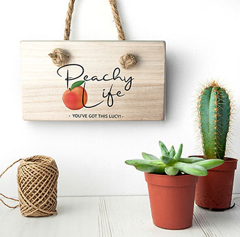 Peachy Life Wooden Hanging Sign