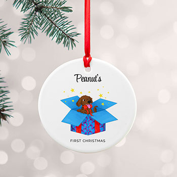 Personalised Dog's First Christmas Ornament